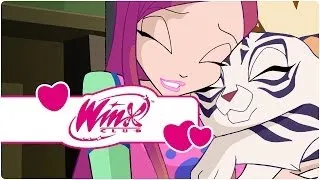 Winx Club - Season 4 Episode 14 - 7: the perfect number (clip2)