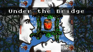 RHCP - Under the Bridge (Donkey Kong Country Soundfont)