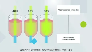Fluorescence – How does it work in plate reader?