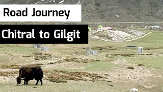 Chitral to Gilgit Road Journey | Chitral to Gilgit by Shandur Pass, Booni, Mastuj, Phander & Gupis