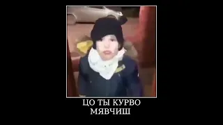 Польский Мат - Цо Ты Курво Мявчиш