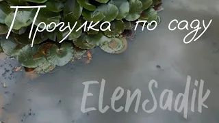 Прогулка по авторскому саду Елены. Обзор ElenSadika Сада своими руками.