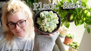 Houseplant Haul! Unboxing A Houseplant Care Package!