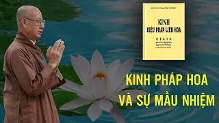 Kết quả và sự mầu nhiệm của việc hành trì lạy kinh Pháp Hoa |  Thầy Huyền Diệu