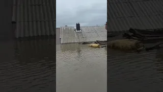 наводнение.* Орск*. вода под крыши.