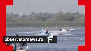 Imagini revoltătoare în Delta Dunări: 4 şalupe intră în plin într-o colonie de pelicani
