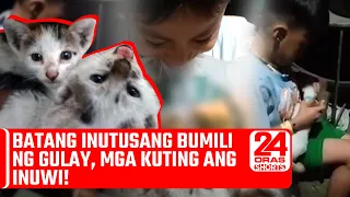 Batang inutusang bumili ng gulay, mga kuting ang inuwi! | 24 Oras Weekend Shorts