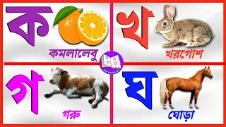 Bangla Bornomala Banjonborno | Ka Kha Ga Gha | Bengali Alphabet | বর্ণমালা শিক্ষা