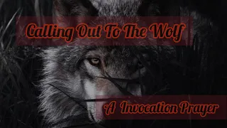 A invocation prayer to awaken the wolf spirit 🐺 connect with your pack