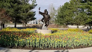 Tulip Festival 2021 in Ottawa