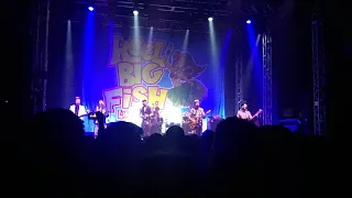 Reel Big Fish - You Can't Have All Of Me - Live at O2 Academy Leeds (7/11/19)