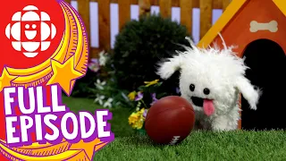 Silly Paws | Football | CBC Kids