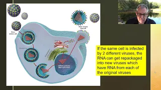 BIO 101 Lecture 15 - Evolution of COVID