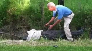 FAIL - catching an alligator