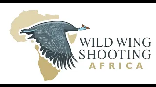 Upland Bird hunting in South Africa