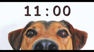 11 Minute Timer for School and Homework - Dog Bark Alarm Sound