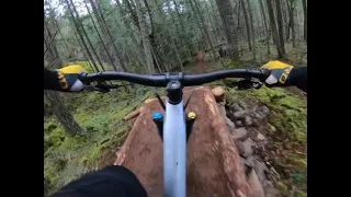 Organ Donor - Hartland bikepark