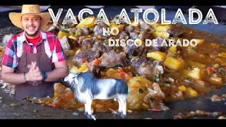 Vaca Atolada no DISCO DE ARADO