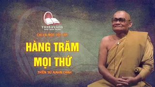 4. Hàng Trăm Mọi Thứ | Thiền Sư Ajahn Chah - Chỉ Là Một Cội Cây