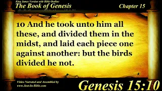 Genesis Chapter 15 - Bible Book #01 - The Holy Bible KJV Read Along Audio/Video/Text