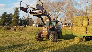 Fiat 100-90 unloading alfalfa balles from Scania. Ξεφορτωμα τριφυλλια