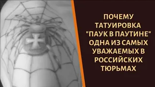 Что означает на зоне татуировка "Паук в паутине"