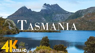 Tasmania 4K - Scenic Relaxation Film With Inspiring Cinematic Music and  Nature |4K Video Ultra HD