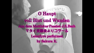 O Haupt voll Blut und Wunden J.S.Bach マタイ受難曲よりコラール Leier/lyre performed by Sakura K.ライアー演奏＆編曲：くどうさくら