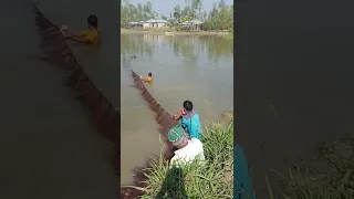 Unique Cast Net Fishing#shorts