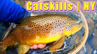 GIANT Delaware River Brown Trout | Fly Fishing The Catskills