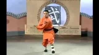 少林七星拳Shaolin Qi Xing Quan-Shaolin Seven Star Fist