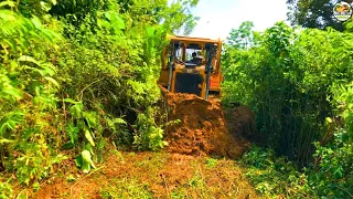 Awesome! Caterpillar D6R XL Master Bulldozer Cleaning Grassy Plantation Roads