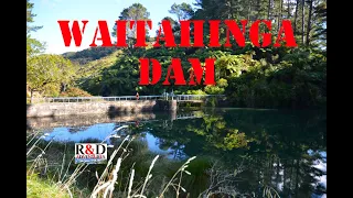 Waitahinga Dam | Chicken Run | Whanganui | Scenes of New Zealand