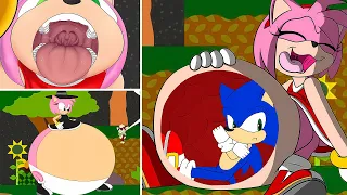 WAIT AMY!! SONIC IS NOT FOOD!!! 🤰☠️ (Sonic The Hedgehog Feast)