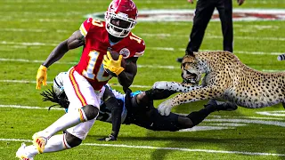 Tyreek Hill 10 Facts You Didn't Know