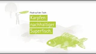 Sachsens Superfisch | Karpfen kulinarisch neu interpretiert