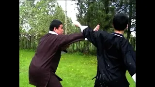 tough fight#3 kungfu palm ve fist