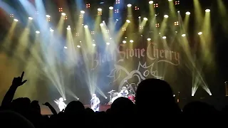 Black Stone Cherry - Like I Roll Live at Cardiff International Arena 28/01/2023