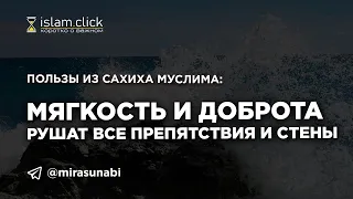 Мягкость и доброта рушат все препятствия и стены. Пользы из Сахиха Муслима. Абу Яхья Крымский