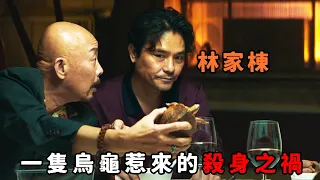 這才是最落魄的“林家棟”，人到中年混迹黑幫，卻因一隻烏龜惹來殺身之禍！