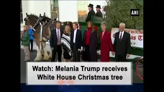 Watch: Melania Trump receives White House Christmas tree - USA News