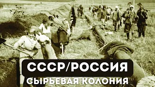 Россия — британская сырьевая колония | Правда Татар