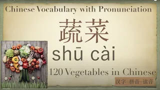 Learn 120 Chinese Vocabulary: Vegetable | Chinese words