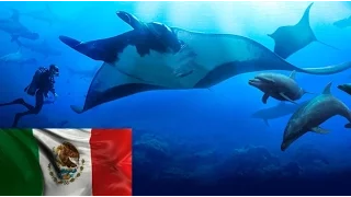 Archipiélago de Revillagigedo, Patrimonio Mundial: Esto es México