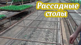 Столы для рассады