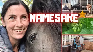 Yvonne's namesake Yvonne and Syrra. Wow!💀 The most poisonous plant! Naming horses | Friesian Horses