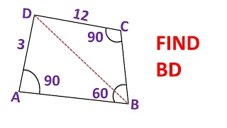 Math Olympiad | Can you find the BD? | (Step-by-step explanation) | #math #maths