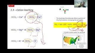 Soil Acidity: Causes, Components, & Consequences