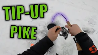 Ice Fishing for Northern Pike in Northern Alberta | Tip-Up Fishing