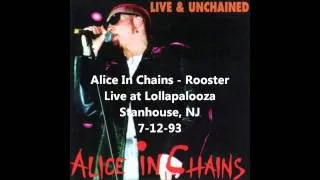 Alice in Chains - Rooster - Live at Lollapalooza, Stanhope, NJ 7-12-93 Part 12/12